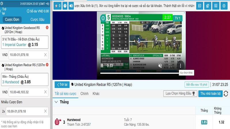 huong-dan-dat-cuoc-dua-ngua-we88