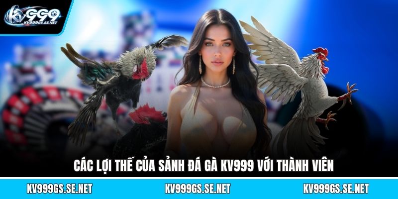 cac-loi-the-cua-sanh-da-ga-kv999-voi-thanh-vien
