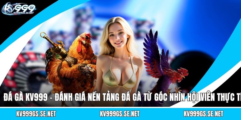 da-ga-kv999-danh-gia-nen-tang-da-ga-tu-goc-nhin-hoi-vien-thuc-te (1)