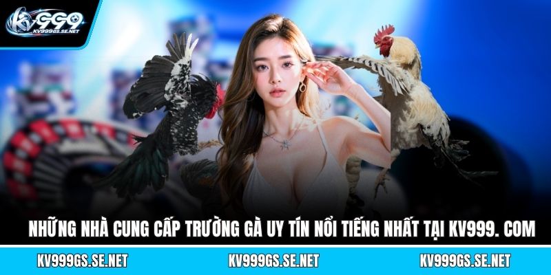 nhung-nha-cung-cap-truong-ga-uy-tin-noi-tieng-nhat-tai-kv999-com