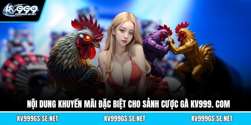 noi-dung-khuyen-mai-dac-biet-cho-sanh-cuoc-ga-kv999-com